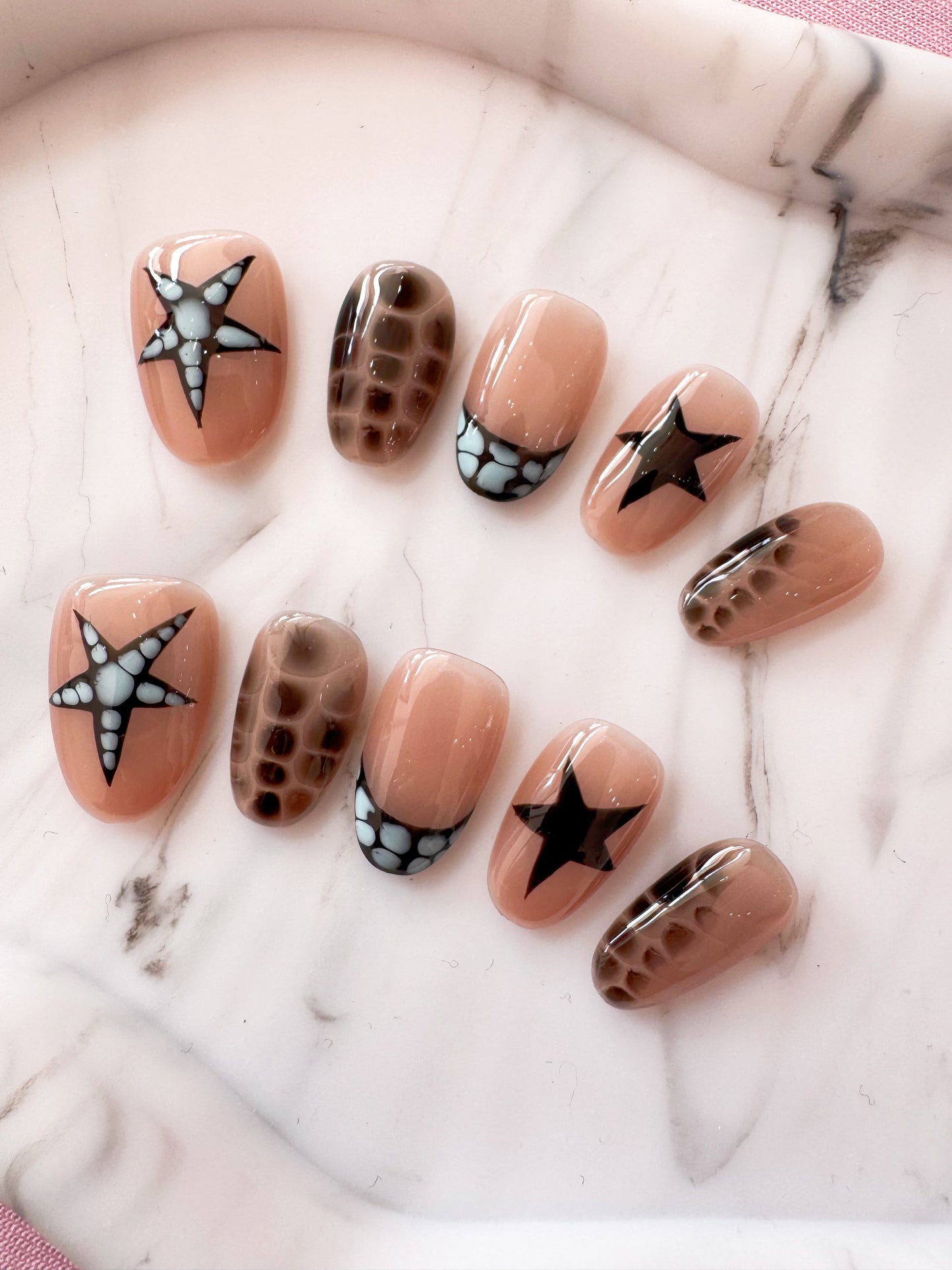 Starry Safari